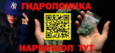 индика Берёзовский